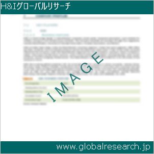 グローバルリサーチ調査レポートのイメージ